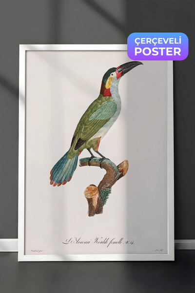 Zestia Pictură de perete vintage cu pasăre în ramă albă, ilustrație cu pasăre...