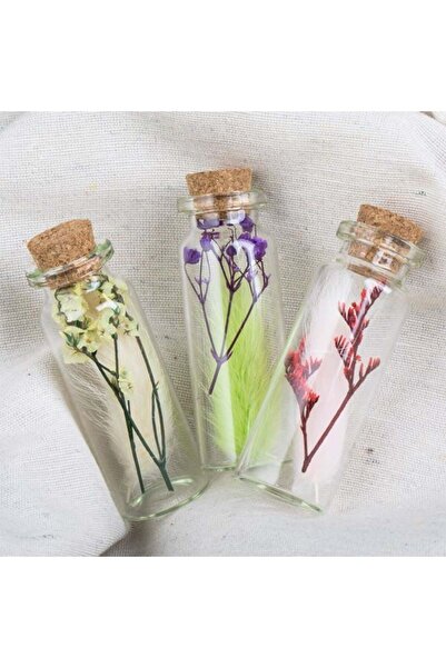 CATIANO Set Recipiente cu Flori Uscate & Bunny Tails 6cm - 3buc