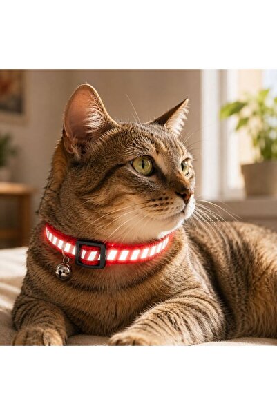 CATIANO Zgarda pentru pisici, CATIANO, rosie, 30cm