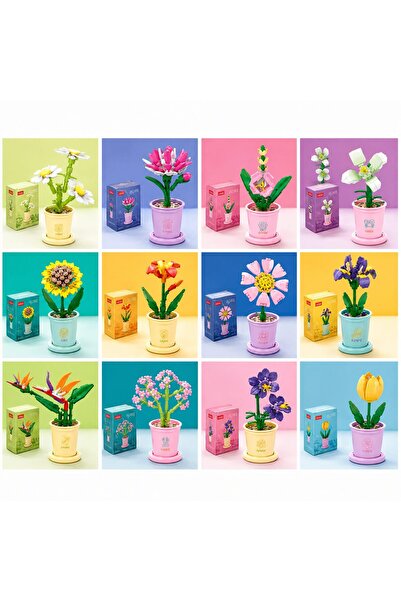 Danex Set of 12 Flowers to Build in Pots, 6+, ABS Plastic, DANEX, Multicolor