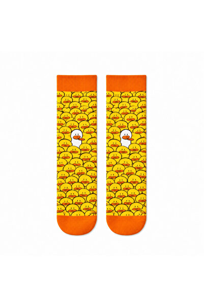 CARNAVAL SOCKS Eğlenceli Karışık Desenli 5'li Kutulu Çorap Seti