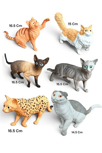 tmtoysandmore Kedi Hayvan Seti Oyuncak Cins Kediler Modelleri 6 Adet Birlikte...