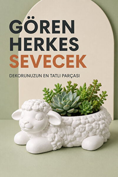 İBERİALHOME Kuzu Figürlü Saksı | Sevimli Sukulent Çiçek ve Dekoratif Bitki Sa...