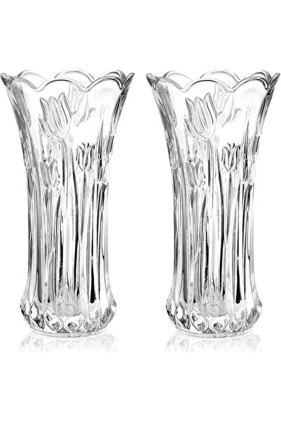 Dicunoy Set of 2 Glass Flower Vase, 9.5" Large Flower Vases for Centerpieces,...