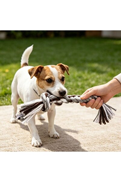 idei Interactive knotted toy for pets, made of Cotton , for cleaning teeth an...