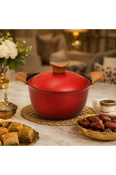 Dania 28 cm Single Layer Titanium Red Pot with Lid and Wooden Design Handles ...