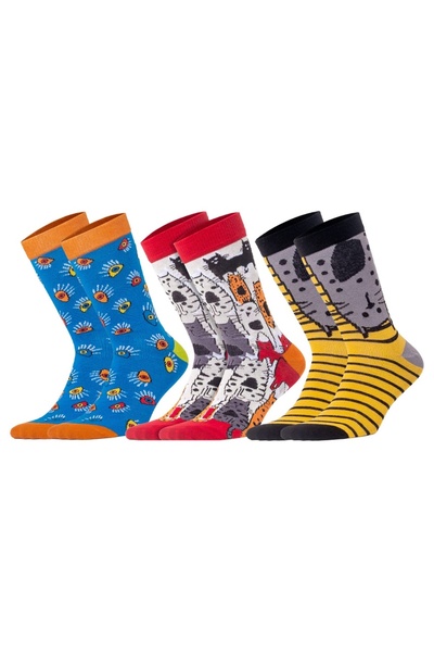 Biggdesign Pack of 5 - Cat Design Socks