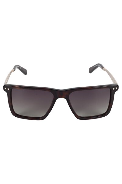 Ferfarini 1466 250P Sunglasses