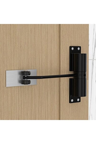 HASTHIP Automatic Door Closer, Zinc Alloy Automatic Safety Spring DoorCloser,...