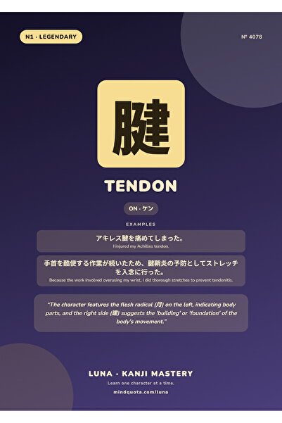 OEM Poster Infografic Kanji Tendon, Anatomie și Scriere Japoneză, Carton 250g...
