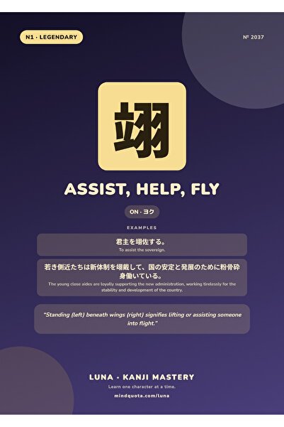OEM Poster Infografic Kanji 翊 Asistență Ajutor Zbor, Grafică Japoneză, Carton...