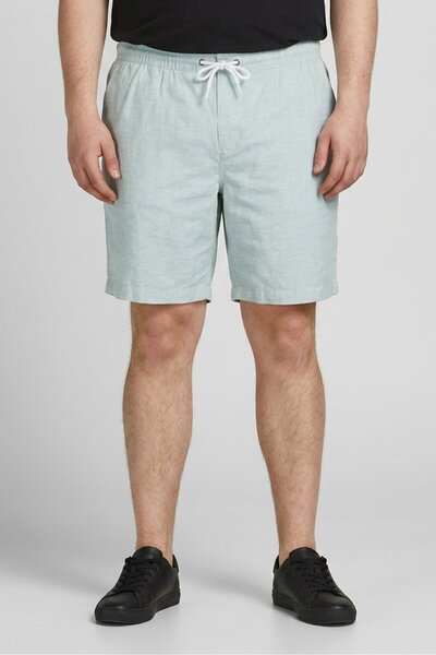 Tenth + Ocean Men Plain Basic Shorts, Sage Green