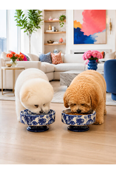 Bibo Home Kedi ve Köpek Mama Su Kabı - Yüksek 2 li Seramik Ebruli