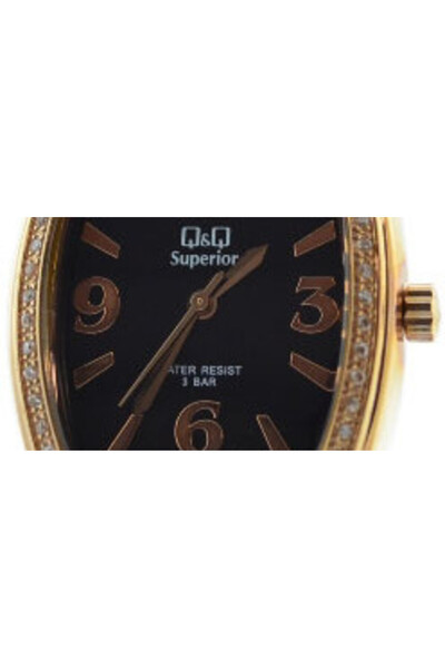 Q&Q Ceas de damă superior - P209-864Y