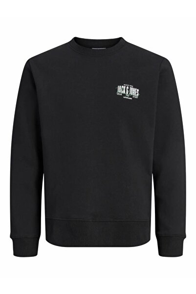 Jack & Jones Jack Jones Aero Regular Fit Bisiklet Yaka Erkek Sweat 12298492