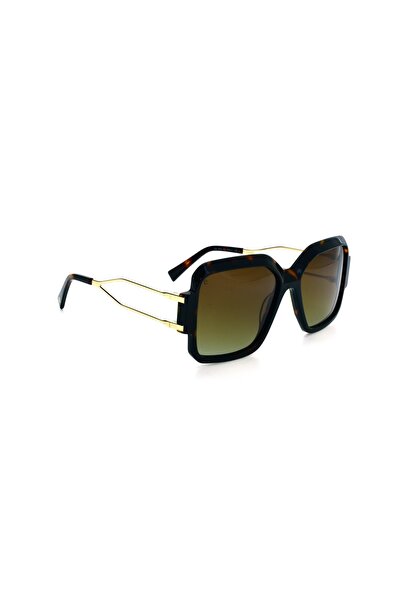 Elegance 1956 C2 Sunglasses