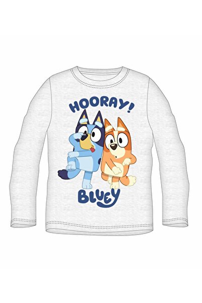 bluey Bluza gri
