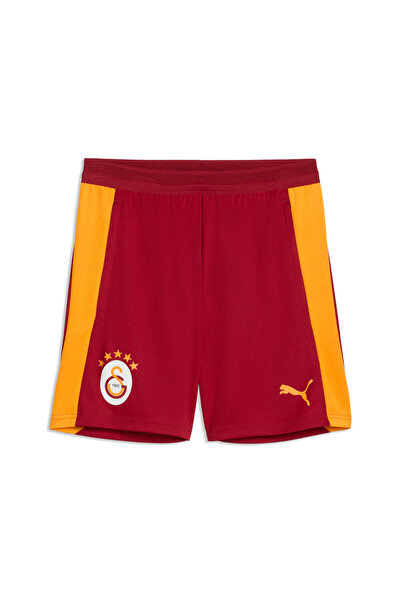 Puma Galatasaray Men's Training Shorts