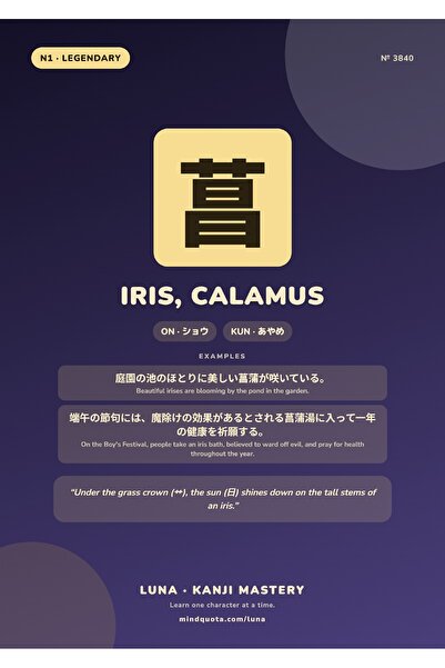OEM Poster Kanji Iris, Calamus, Arta Japoneza Caligrafie, Carton 250g, A4