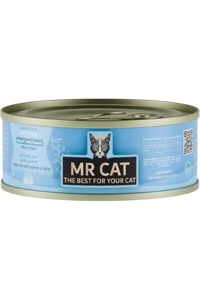Mr. Cat طعام رطب للأسماك مع السلمون في الجيلي 60 جرام