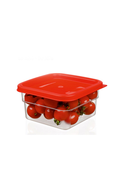 Bora Plastik Food Storage Container Lid Pp (Compatible with 2&4 Lt) Bo3075