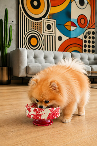 Bibo Home Kedi ve Köpek Mama Su Kabı - Yüksek 1 Adet Seramik Ebruli