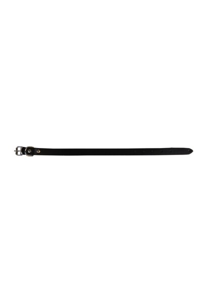 Exo Zgardă L0-L6, Simplă, din Piele, Neagră, Mărimea L1: 40/1.6 cm