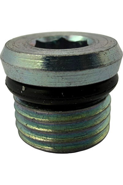 BRP GROUP OIL DRAIN PLUG