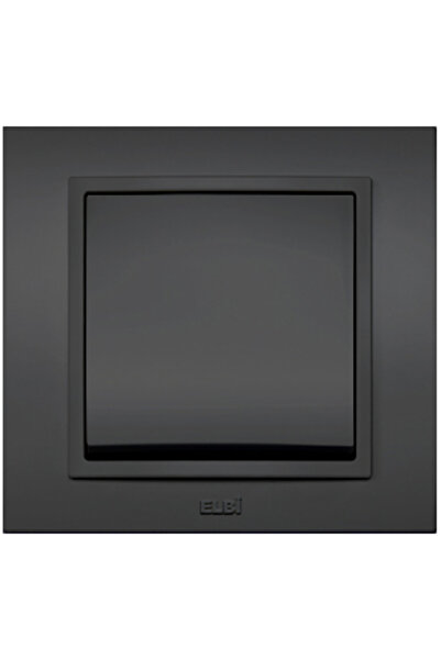 Danex Simple switch 10a fume zena -, elbi, multicolor