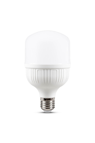 Total Green Bec LED 100W E27 6500k, Total Green, Multicolor