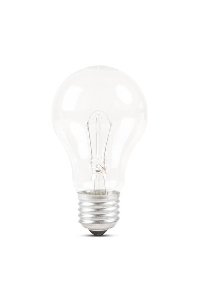 Total Green Bec 60W E27 24V, Total Green, Multicolor