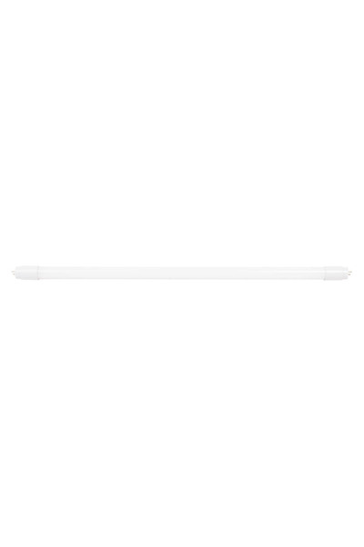Danex Lampă LED T8 9W 3000k 600mm, Verde total, Multicolor