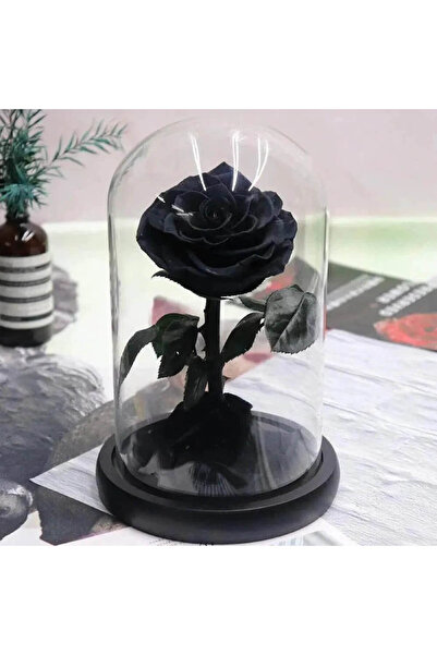 BONİTA Trandafir Negru Criogenizat Ø9.5 cm