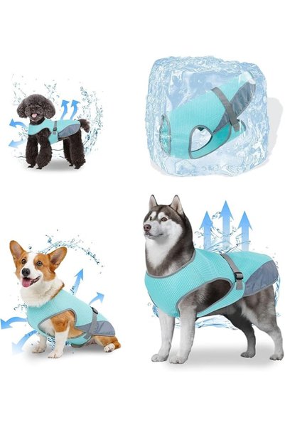NALACAL Dog Cooling Vest, Evaporative Cooling Coat, Blue, Mesh, Small