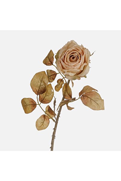 OEM Tulpina de trandafir artificial crem cu tulpină lungă - 76cm