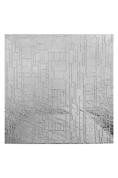 OEM Tavă din plastic argintie 30x30cm - Design liniar