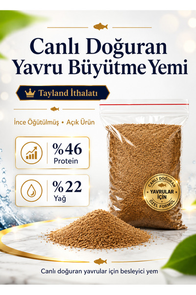 İkizler Lepistes Moli Plati Kılıçkuyruk Velifera Canlı Doğuran Türleri Balık ...