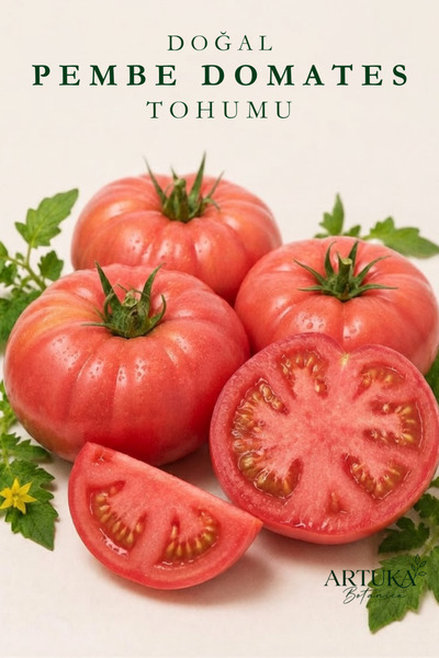 Artuka Botanica Doğal Pembe Domates Tohumu (100 ad) | Ata Tohum