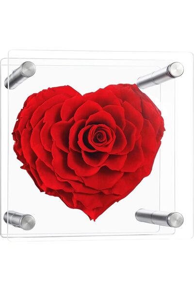 Tazweeq زهور ورود هدايا للأم، ورود حقيقية محفوظة للأبد في قبة زجاجية، هدية عي...