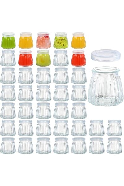 NALACAL 10-Pack 100ml Clear Glass Yogurt and Pudding Jars with PE Lids – Vers...