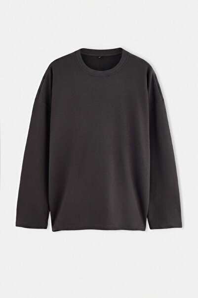 Trendyol Collection Plus Size Anthracite Oversize/Wide Fit Basic Sweatshirt T...