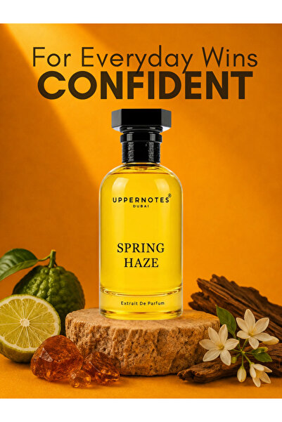Uppernotes Spring Haze EDP Men Perfume 100ml | Bergamot Ambroxan Ambergris Wo...