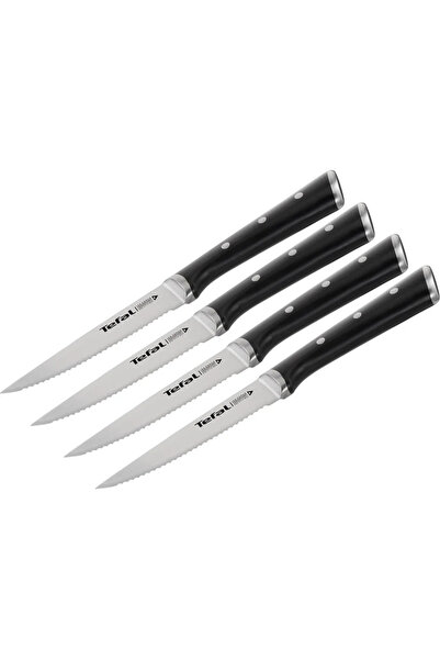 TEFAL Set de 4 cutite pentru friptura Ingenio Ice, Force 11 cm
