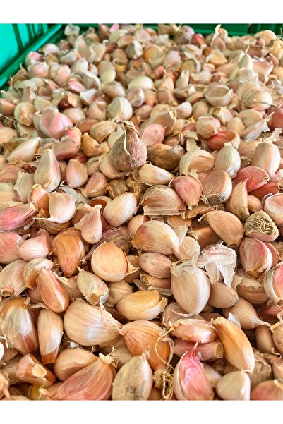 OZCOL GROUP AYIKLANMIŞ SARIMSAK 1 KG