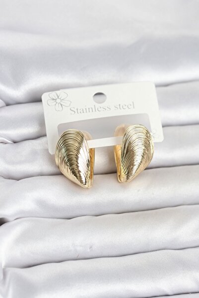 Inure Jewelry 316L Steel Gold Color Mussel Model Women's Earrings