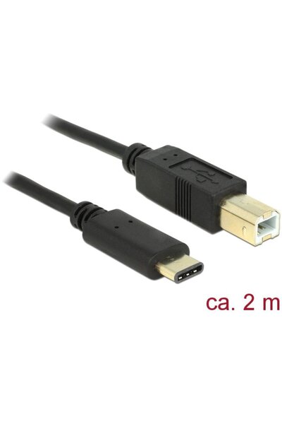 DELOCK Cablu USB Tip-C 2.0 mascul > USB 2.0 Tip-B mascul 2m negru