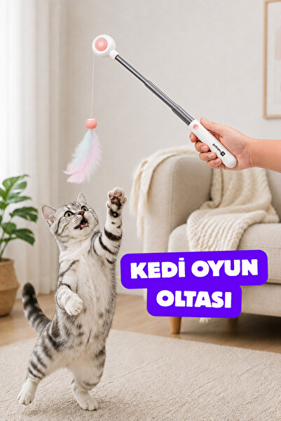 Hubspet Kedi Oyun Oltası | Teleskopik Uzayan Çubuk, İpli 2 Farklı Yedek Başlı...