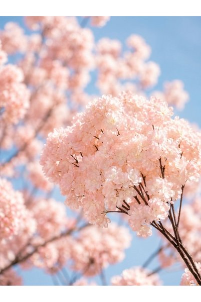 Beitna Helw Set of 4 High-Density Artificial Cherry Blossom Bunches — Baby Pink
