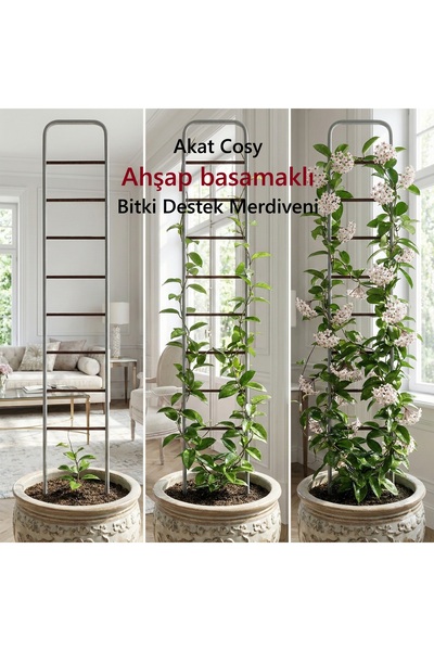 Generic Brand Akat Cosy Flower Pot and Garden Plant Support Ladder (25 X 140 cm)