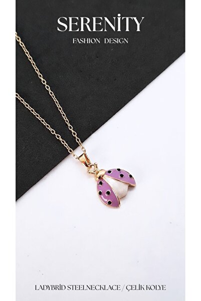 Serenity Steel Necklace with Winged Ladybug Figure